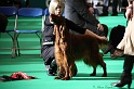 Crufts2011 039